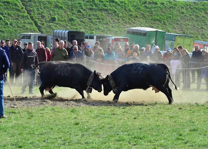 Village Situated In A Quiet Area Διαμέρισμα Antey-Saint-André